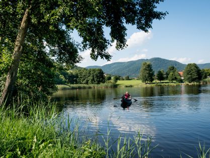 Umfrage zum Thema "Älter werden, Leben und Wohnen in Niederösterreich"