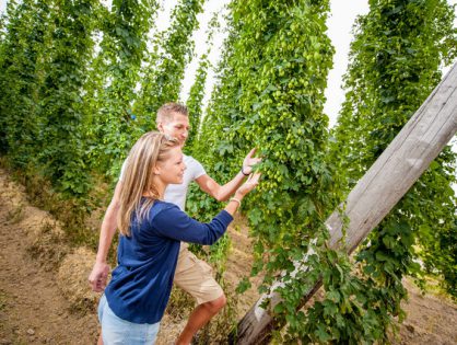 Waldviertel - Ganz mein Geschmack - Weiterentwicklung