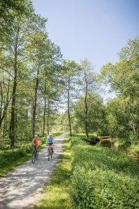 Rad- und Bikeoffensive Waldviertel