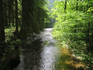 Naturerlebnis Waldviertel