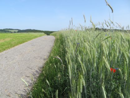 Coronavirus: Pfingstwanderung ist abgesagt!