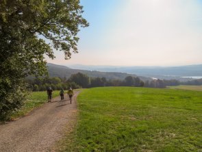 Lebensweg: 2021 war ein gutes Wanderjahr