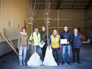 Obstbaumpflanzaktion: Mehr als 3.500 Baumsets bestellt
