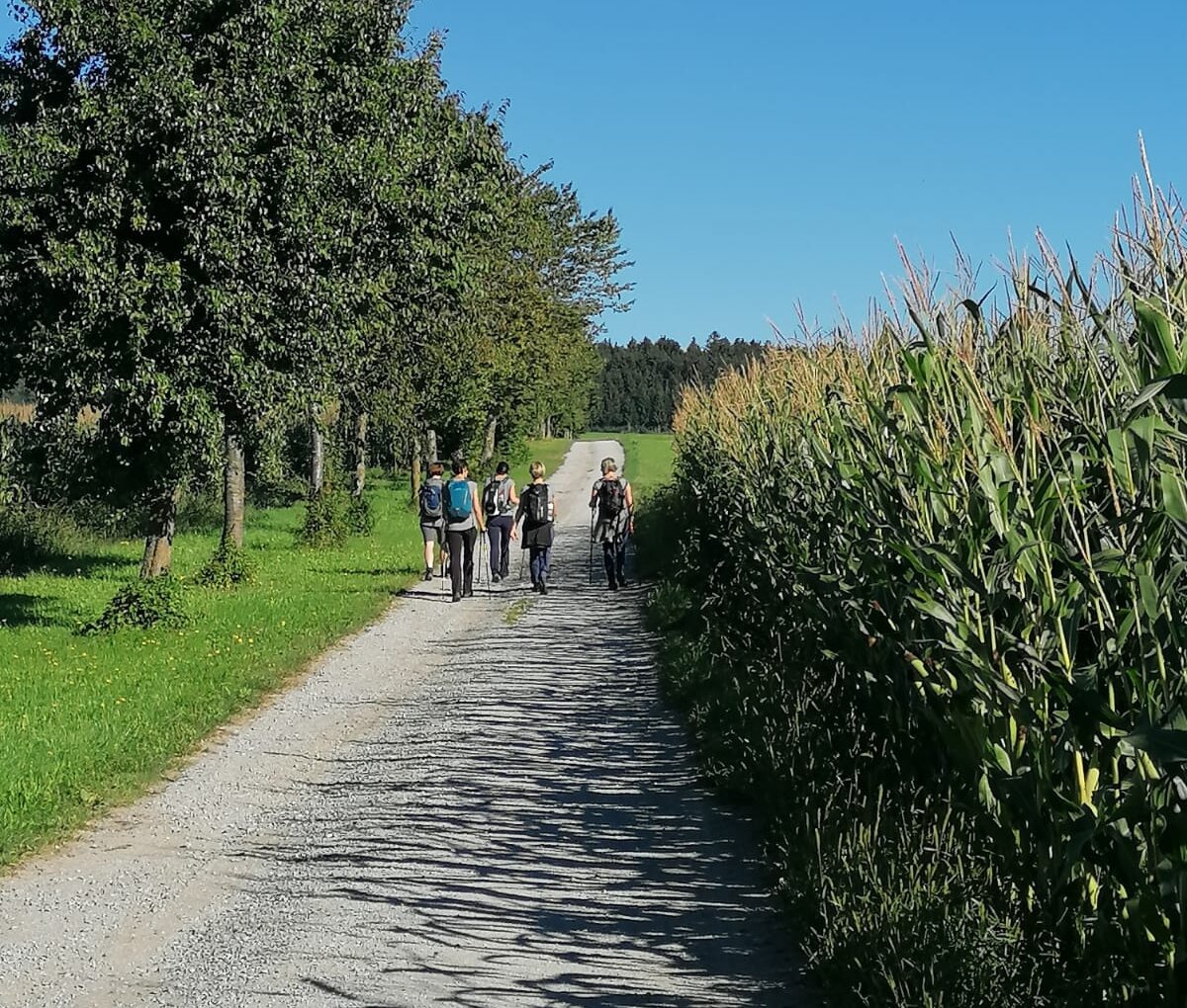 Lebensweg: Herbstwanderung am 11. September