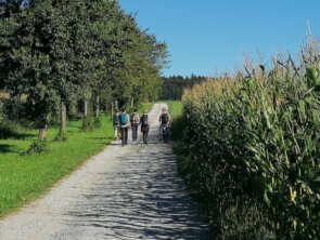 Lebensweg: Herbstwanderung am 11. September