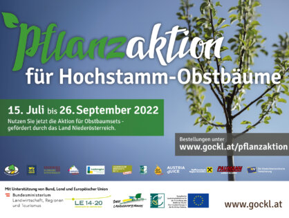 Obstbaum-Pflanzaktion: Noch bis 26. September Obstbaumsets bestellen