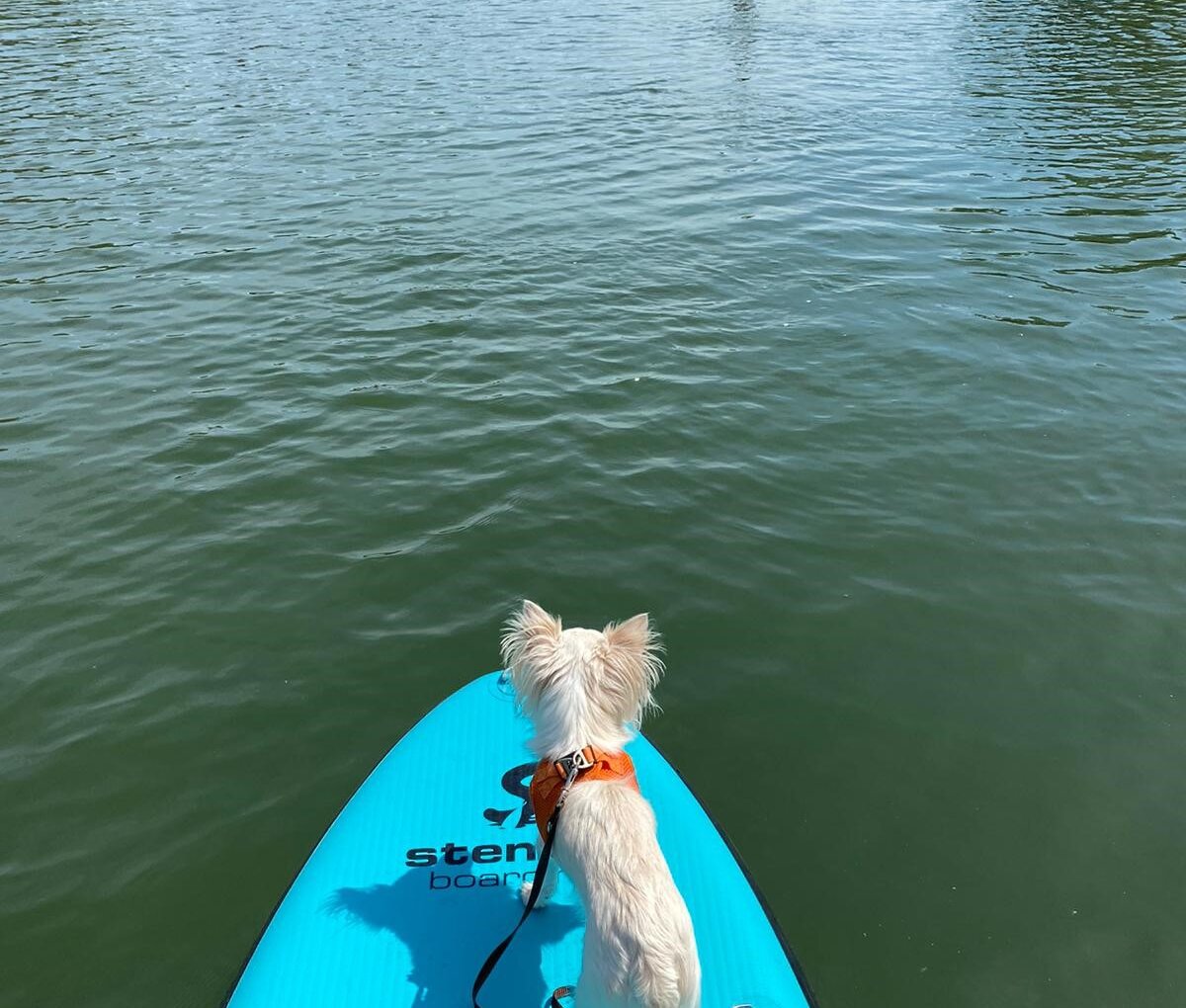 Kooperationsprojekt: Gästering Donau Niederösterreich - Qualifizierungsmaßnahmen Regenerativer Tourismus