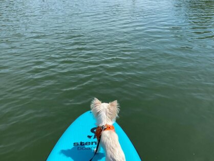 Kooperationsprojekt: Gästering Donau Niederösterreich - Qualifizierungsmaßnahmen Regenerativer Tourismus